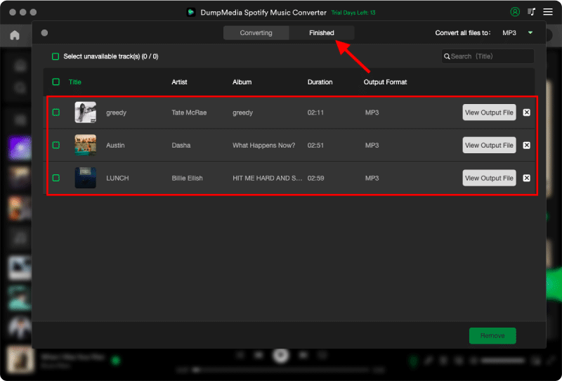 変換されたことを確認する Spotify 音楽