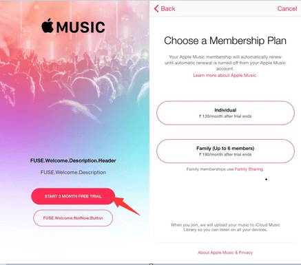 Apple Music Subscription