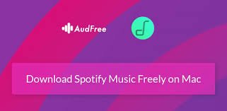 AudFreeの表示 Spotify 音楽コンバーター