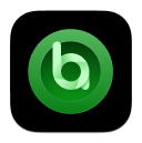 Netflix Video Converter Icon